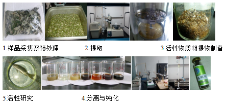 從魚到草 水產(chǎn)品無水活運與工業(yè)植物提取的跨界啟示
